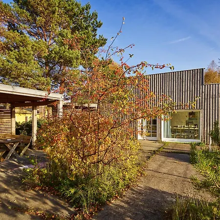 Haengematte Fuer Familien, Freunde Und Gruppen 바르트