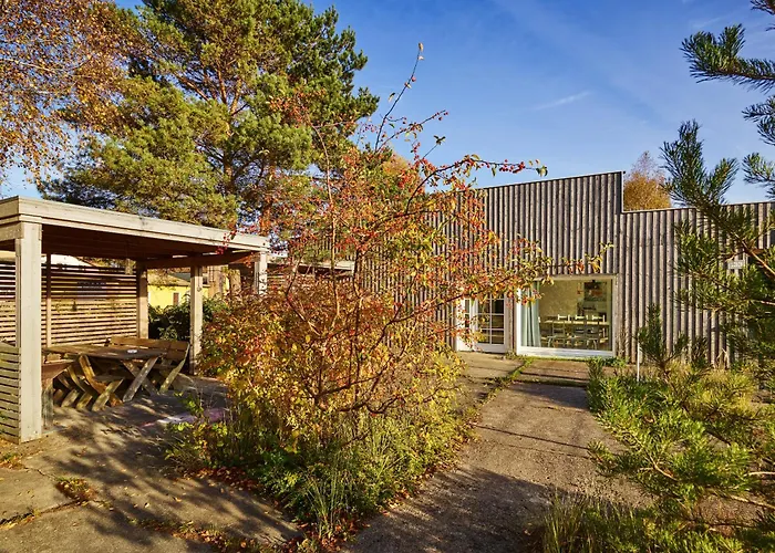 Haengematte Fuer Familien, Freunde Und Gruppen 바르트